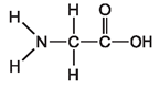 Biology Unit 5 Exam